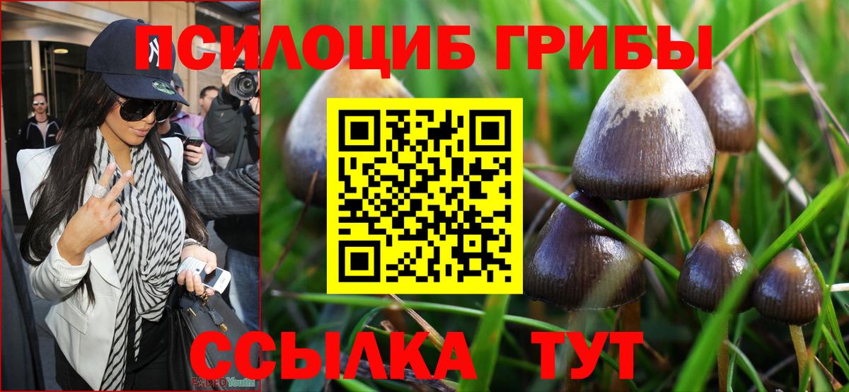 Валуйки  Псилоцибиновые грибы GOLDEN TEACHER  Вход с VPN 