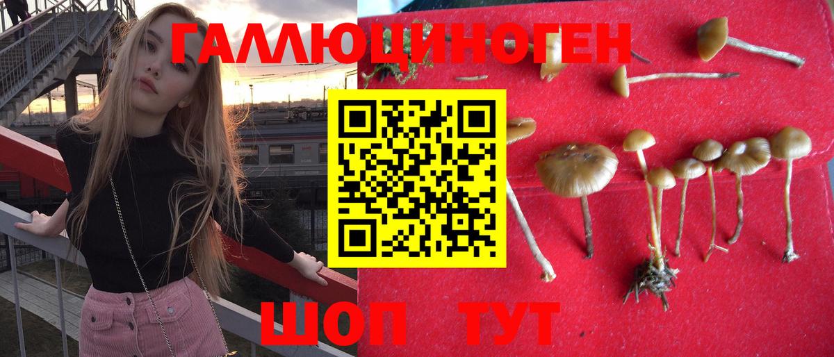 Галлюциногенные грибы Psilocybine cubensis Валуйки